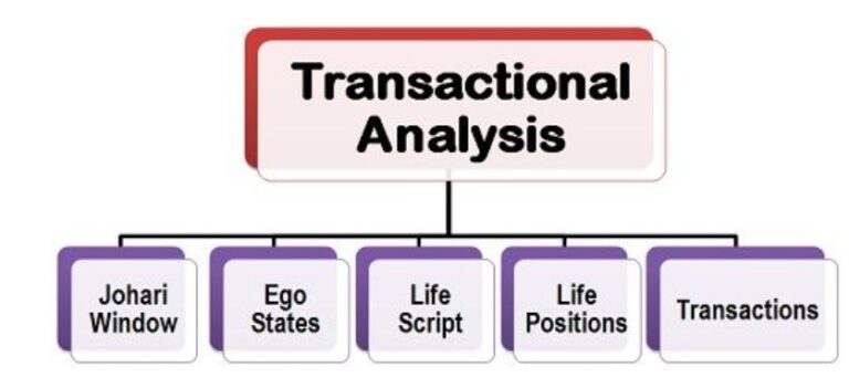 transaction analysis